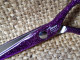 Jaguar Gold Line "Diamond E Donna" 5.5" Champion class scissor.